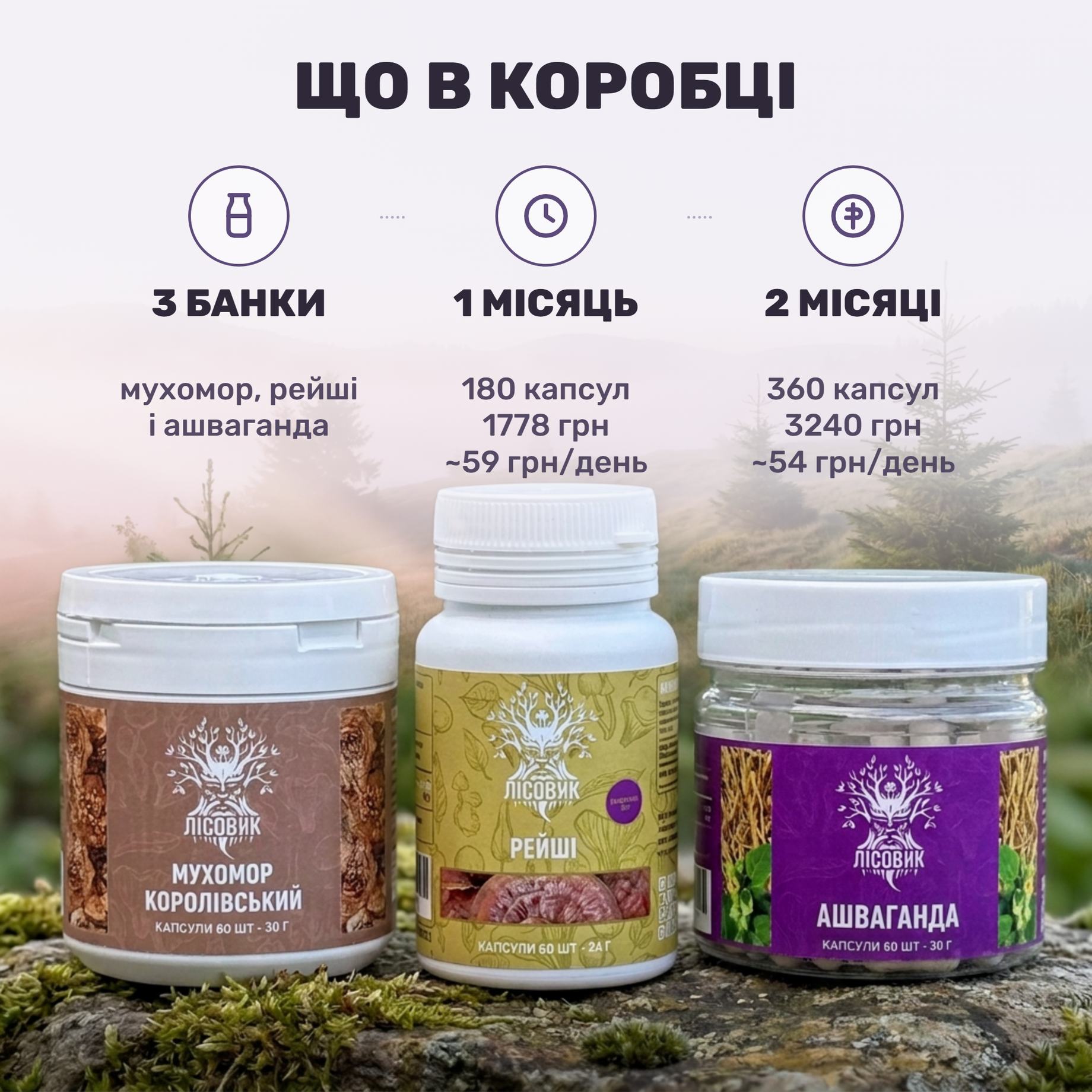 Курс Zen Mood Лісовик: банки королівського мухомора, ашваганди та екстракту рейші