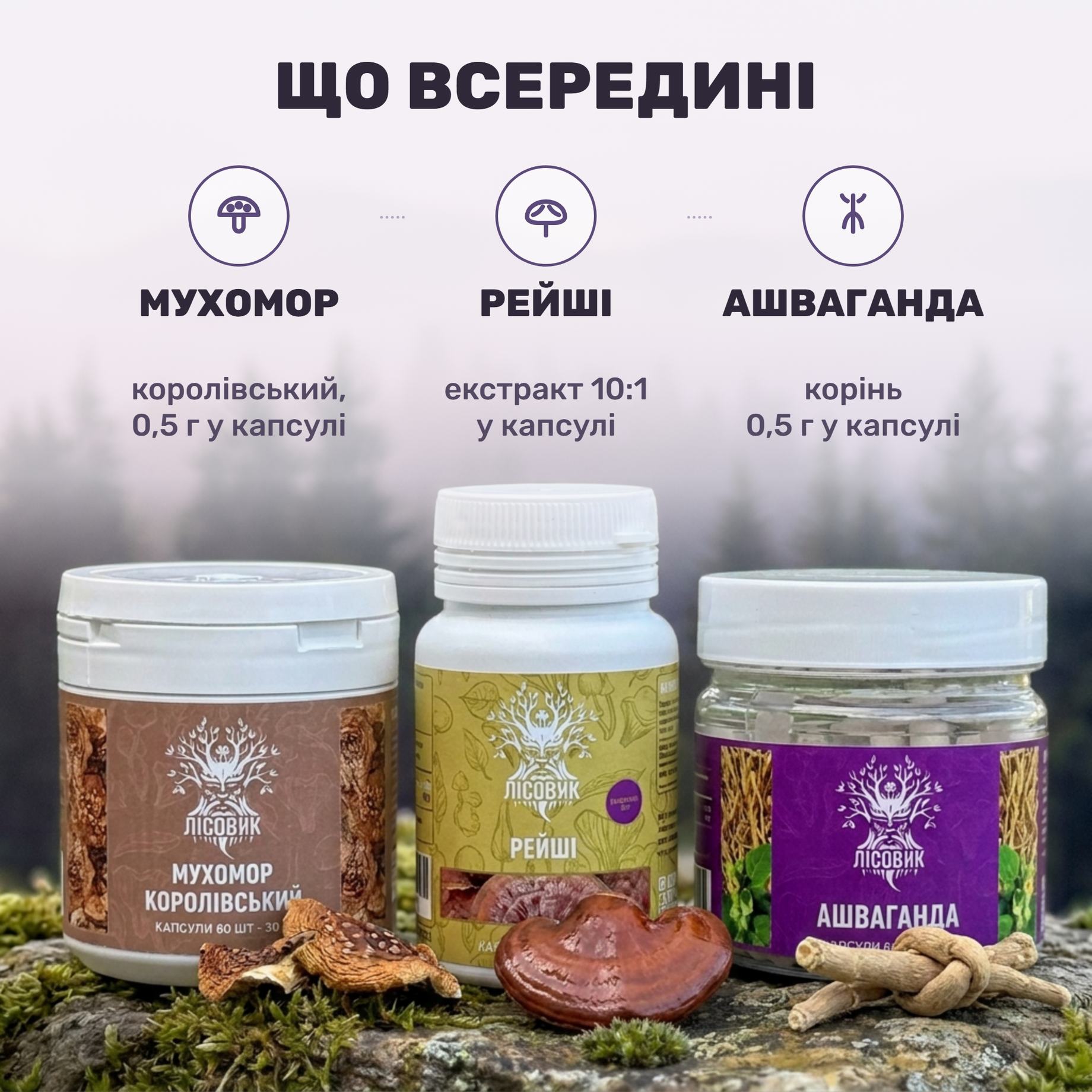 Три банки курсу Zen Mood від Лісовик: королівський мухомор, ашваганда й екстракт рейші