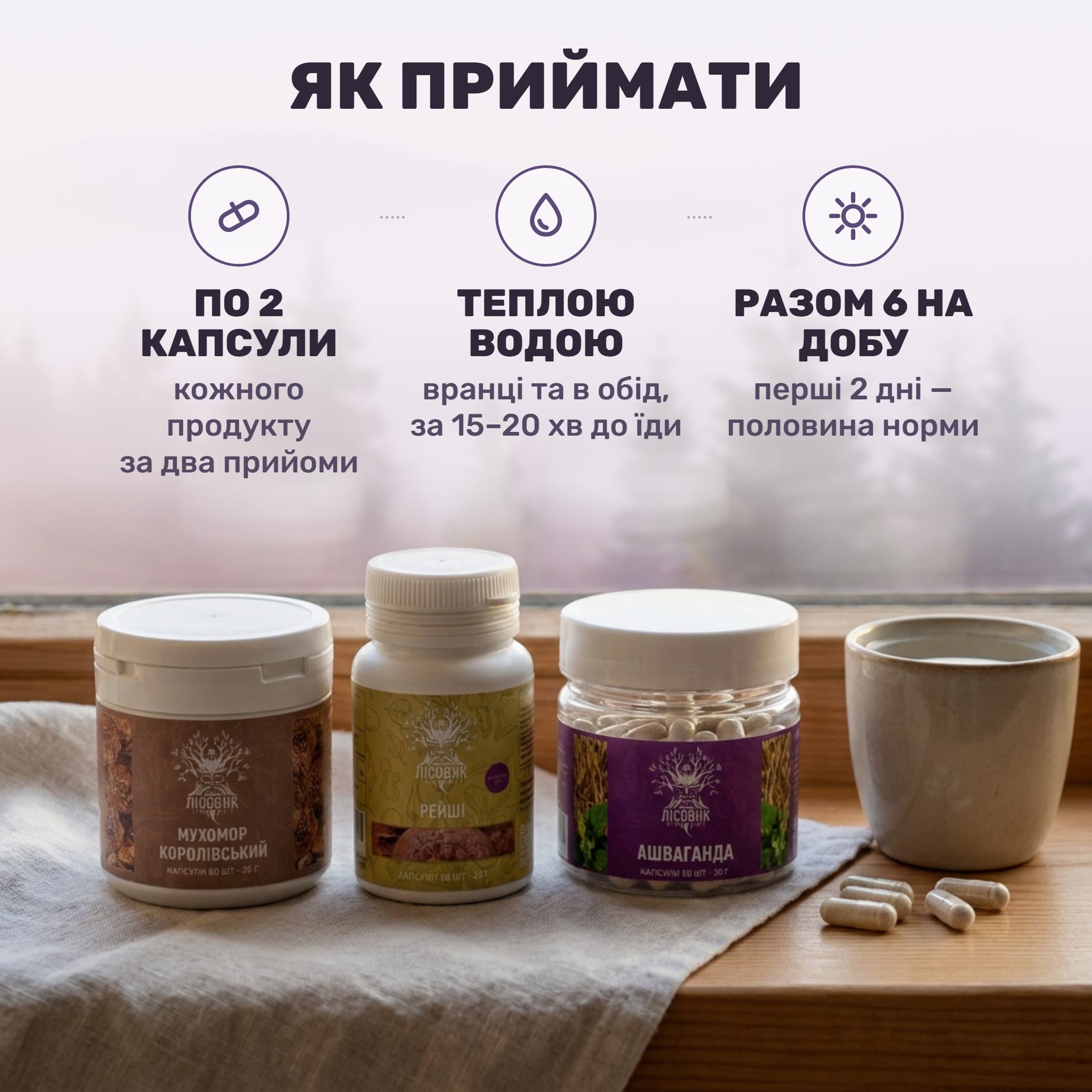 Три банки курсу Zen Mood Лісовик — королівський мухомор, ашваганда і екстракт рейші 10:1