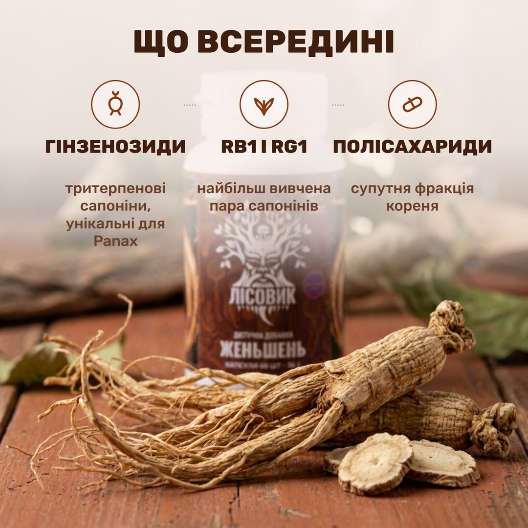 Корінь женьшеню Panax ginseng поряд із капсулами Лісовик